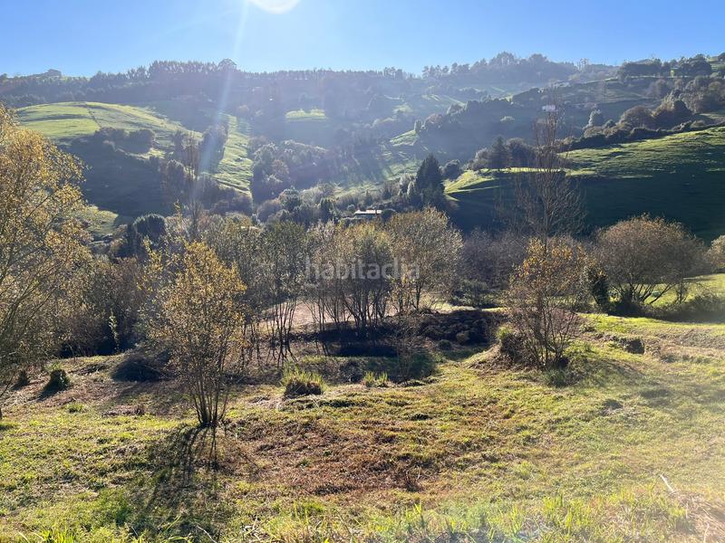 Foto cc250a4b-8b2c-4c9e-8163-9fbe5d17a513. Finca rústica espectacular finca edificable soleada en Gijón