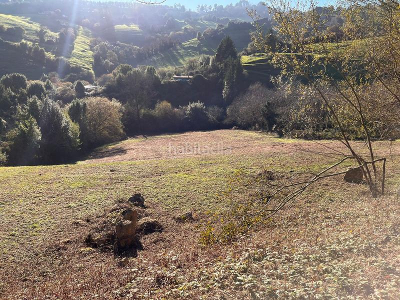 Foto d1cb746f-7b82-404c-8dff-08d1fe4e4418. Finca rústica espectacular finca edificable soleada en Gijón