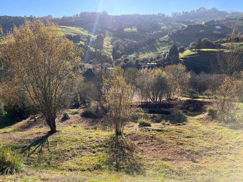 Foto e41fd40e-f63a-406b-85eb-b6b499cf5955. Finca rústica espectacular finca edificable soleada en Gijón