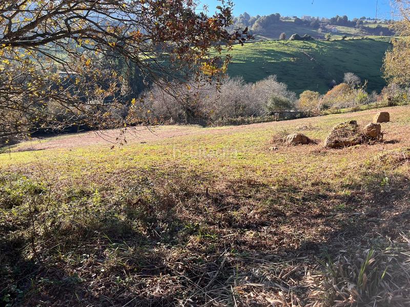 Foto e72fdd83-27a4-4be3-99c0-c4063ecb5309. Finca rústica espectacular finca edificable soleada en Gijón