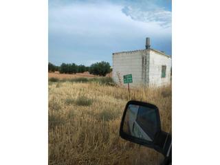 Propriété à Manzanares. Parcela próxima al pocillo con buen acceso y muy productiva.