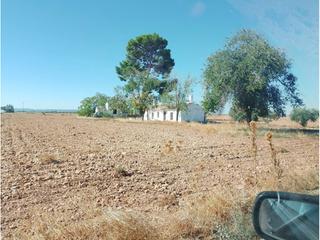 Propriété à Manzanares. Buena finca de regadío con acceso por camino asfaltado