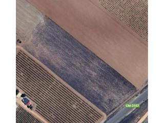 Propriété à Manzanares. Bonita parcela junta a la carretera y próxima a la población.