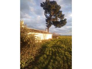 Propriété à Manzanares. Finca de regadío con pozo certificado.