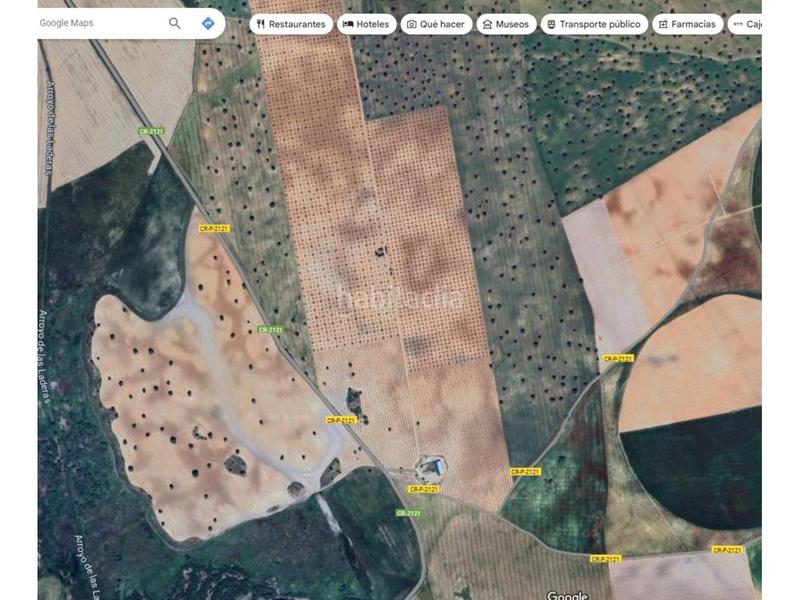 Foto e15f2034-a3be-49b1-a748-c0eb0f5fe316. Fondo rustico in Daimiel