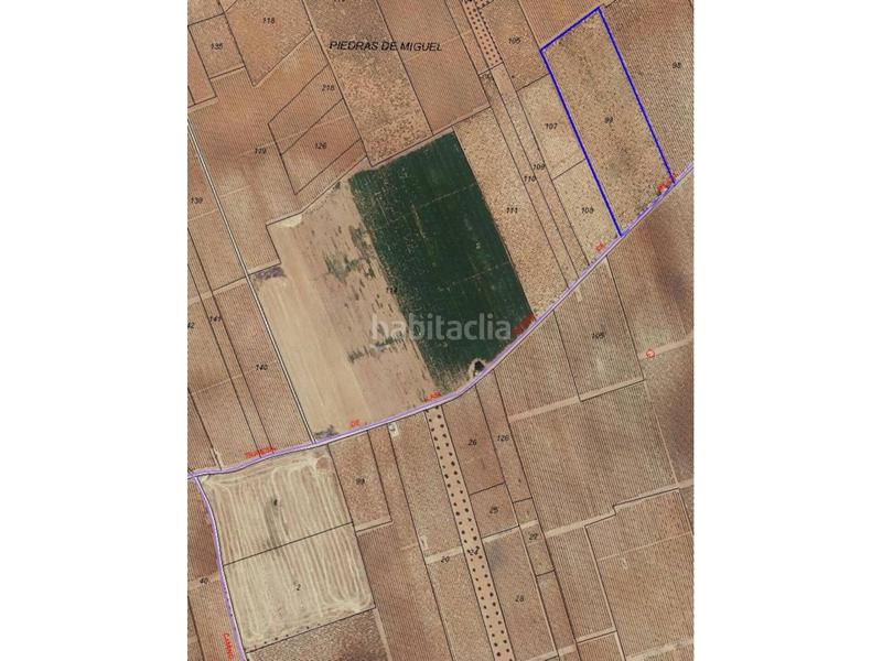 Foto 42c849e1-6eb3-42ef-9e7f-16b183c0b583. Landgut in Arenas de San Juan