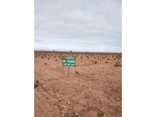 Propriété  Carretera villarrubia. Finca rustica en venta en manzanares
