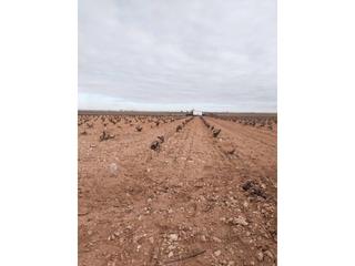 Finca rústica  Carretera villarrubia. Finca rustica en venta en manzanares