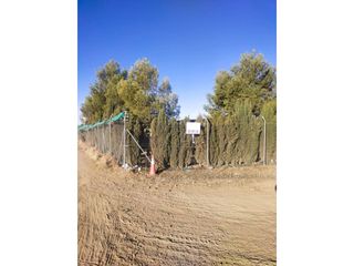 Rural plot  Calle carretera villarrubia. Finca rustica en venta en manzanares