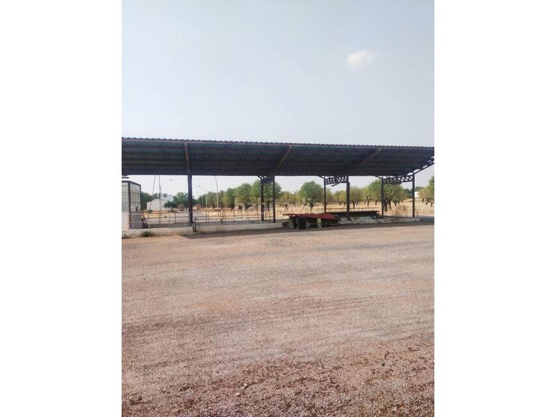 Foto 08e2da63-b302-40f9-b9e0-41cfd1b95b35. Terreno residencial venta de terreno en Torralba de Calatrava