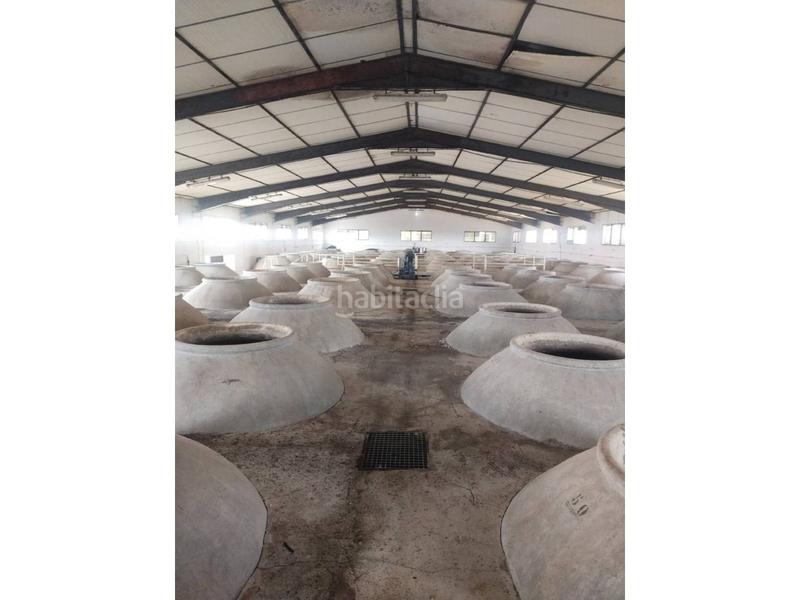 Foto 16101bb1-ecd6-45e1-893c-2a7981d34453. Terreno residencial venta de terreno en Torralba de Calatrava