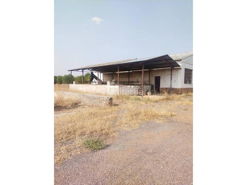 Foto f87ddf01-e3a9-4cd5-89ed-07459fecda52. Terreno residencial venta de terreno en Torralba de Calatrava