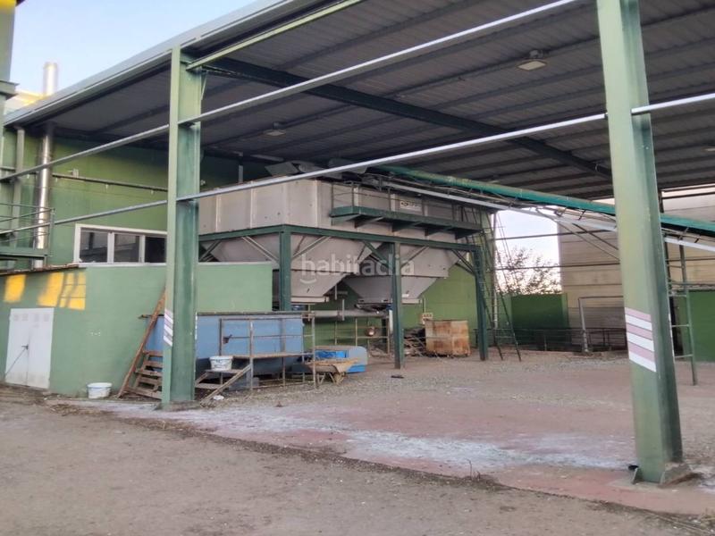 Foto dfb95a07-8eab-4f1e-a9e7-1e5e4f83acd4. Fabrikhalle mit heizung in Torralba de Calatrava
