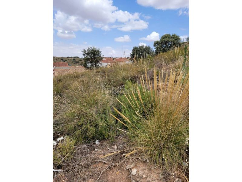 Foto 0d14289a-9d0d-448d-aaeb-276b72b7fc92. Terreny residencial a Ruidera