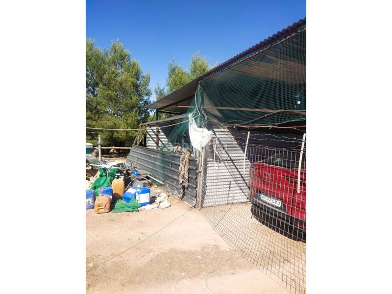 Foto df9d3879-c579-4ed4-b5b8-38c0cb244d7c. Finca rústica a Manzanares