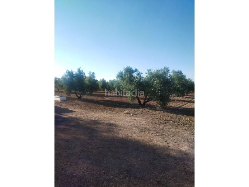 Foto 0ea71466-7dd1-4bf8-b7c1-9738c85c7895. Finca rústica a Manzanares