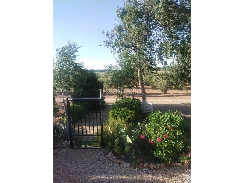 Foto 51fa67ff-cfea-4b42-a19e-6bae69dbac27. Finca rústica a Manzanares