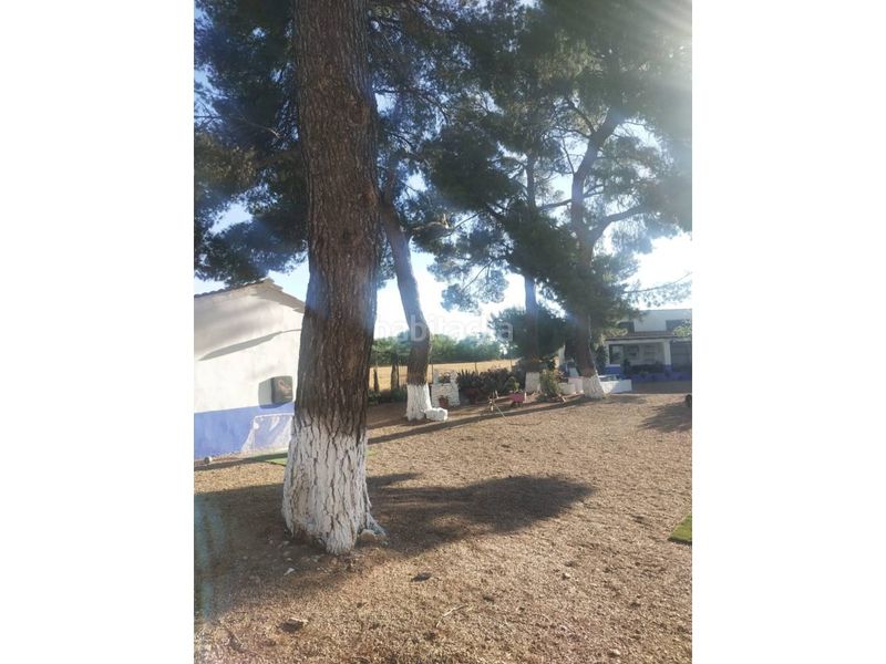 Foto c37e6dc8-70a1-4d43-9011-c8dfb492fac4. Finca rústica a Manzanares