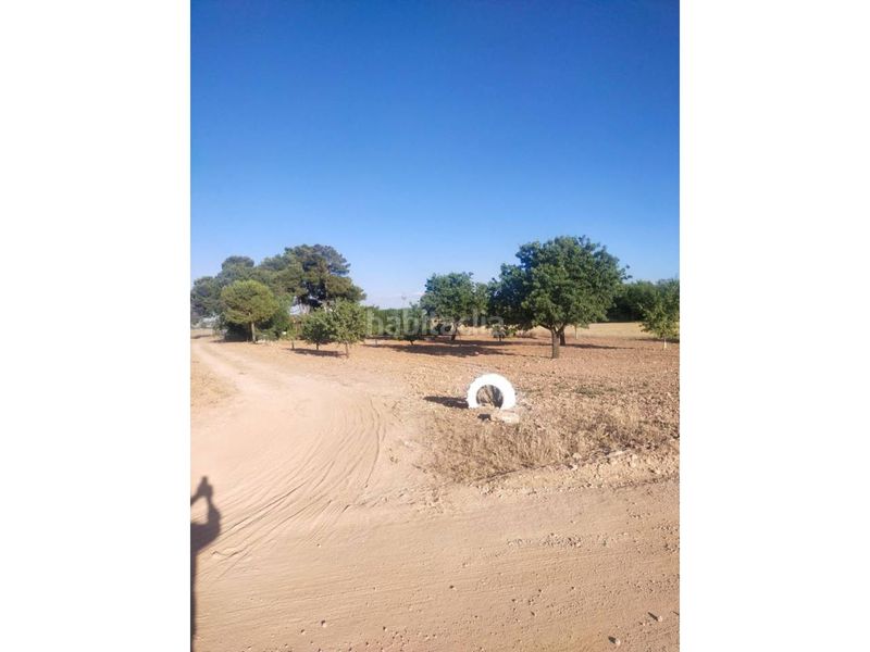 Foto d881b3dd-b915-4bbe-b0b2-b2e843be6d6d. Finca rústica a Manzanares