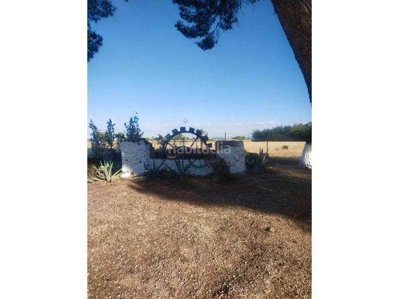 Foto f75648df-aa45-40c8-a5e4-1172dd67fcb0. Finca rústica a Manzanares