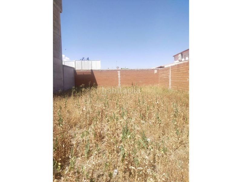 Foto be1eab8c-2f5b-4d19-9700-0b224ad9c595. Finca rústica a Manzanares