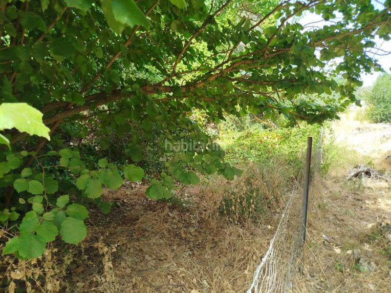 Foto cabd64f3-70ad-4f85-9152-c064dcd7eb2f. Haus in Ruidera
