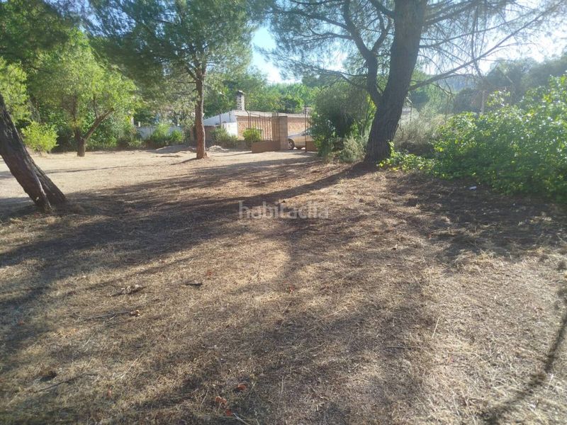 Foto 0cf4ed51-a0a1-4791-89c8-820abb531c5a. Finca rústica a Ossa de Montiel