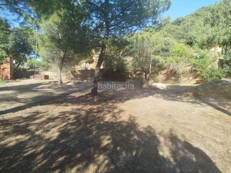 Foto 51f99123-c4c4-40b2-b3d2-d283cf32dd92. Finca rústica a Ossa de Montiel