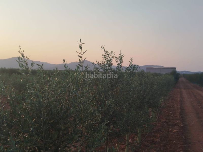 Foto ccb1d341-c5a9-4ef0-b576-3d26fa8b0c91. Finca rústica a Puerto Lápice