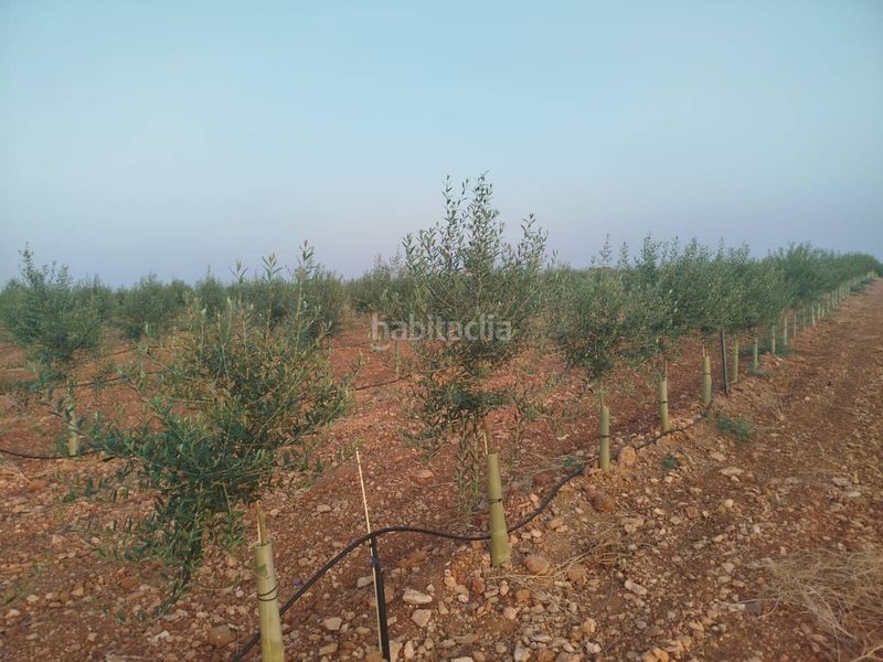 Foto dea1b2ea-46c0-46c9-9ff8-233a7daed561. Finca rústica a Puerto Lápice