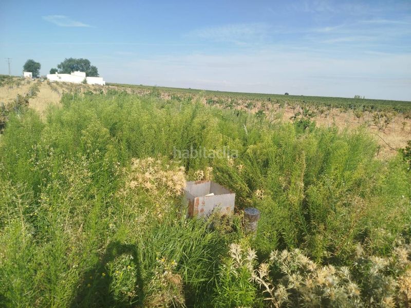 Foto 410febf3-0a05-40b9-b471-4b04b4caf55c. Finca rústica a Alcázar de San Juan