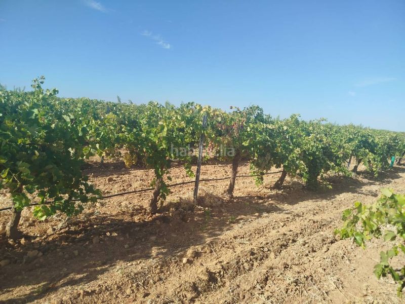 Foto aa74f818-6d5a-49c8-a0a3-7ebfa0ee2082. Finca rústica a Alcázar de San Juan