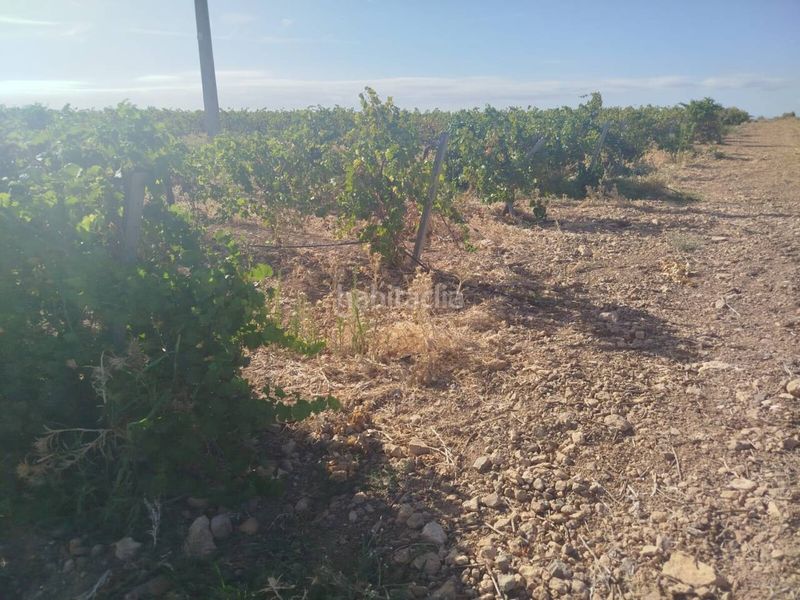 Foto eae08c68-3bc7-464c-9ab1-25192c975488. Finca rústica a Alcázar de San Juan