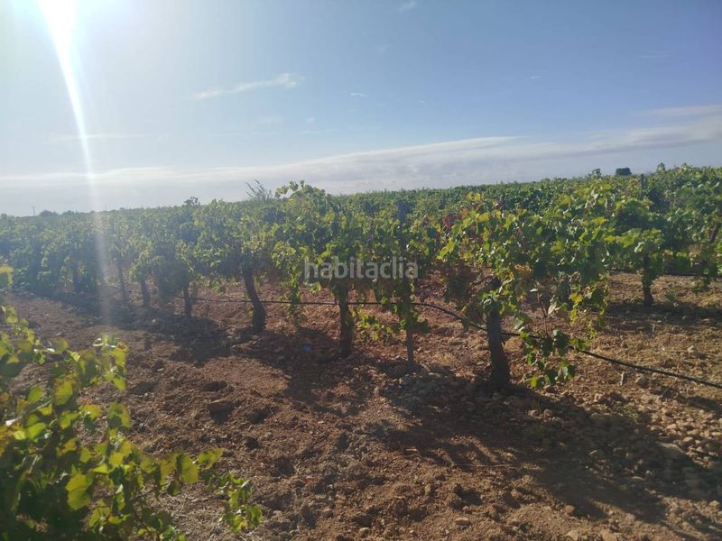 Foto ed655ab2-8d5c-4c9a-afe7-eb02957478bc. Finca rústica a Alcázar de San Juan