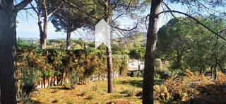 Finca rústica  Selva. Parcela con vistas al mar y proyecto