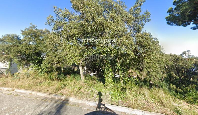 Foto a1d718d4-73d6-49d5-bb25-c977284ec8ec. Finca rústica a Cabanyes-Mas Ambrós-Mas Pallí Calonge