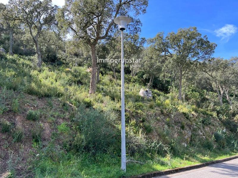 Foto 3c003723-c677-43b7-b634-de74a7a2a10b. Fondo rustico in Cabanyes-Mas Ambrós-Mas Pallí Calonge