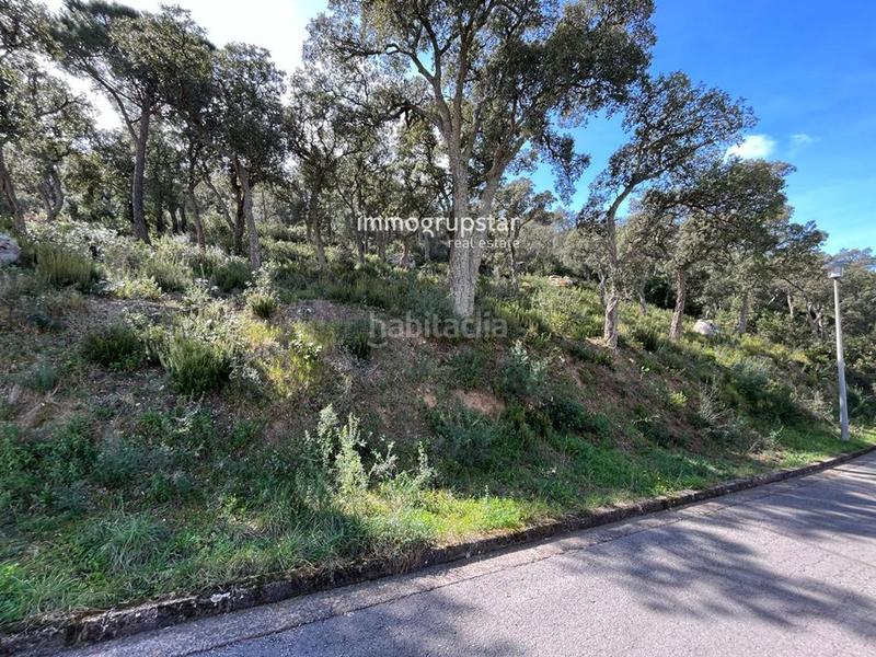 Foto 971ef851-63b0-402d-8f68-14fc42e99e57. Fondo rustico in Cabanyes-Mas Ambrós-Mas Pallí Calonge