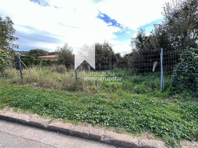 Foto 13841bb3-a8fc-42f4-8a43-1a8cf94bb240. Fondo rustico in Cabanyes-Mas Ambrós-Mas Pallí Calonge