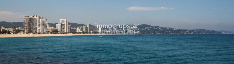 Foto 492d3b5b-3151-48fd-bbdd-b62fa2e41cca. Fondo rustico in Cabanyes-Mas Ambrós-Mas Pallí Calonge