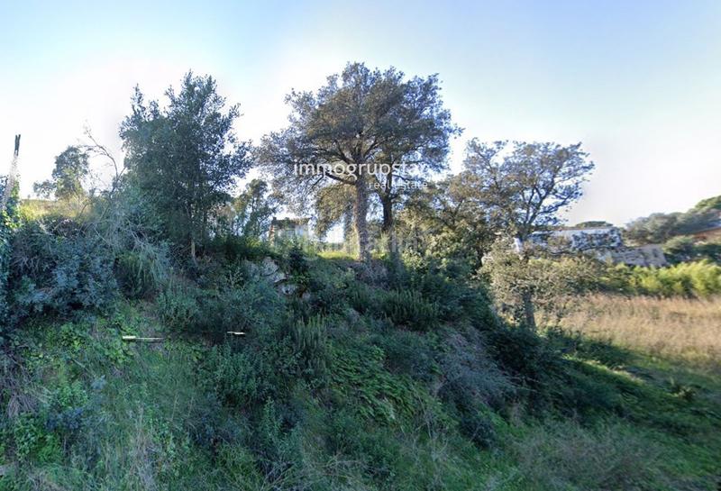 Foto d8227d80-50bf-4b87-98d2-af38b01e2c5d. Fondo rustico in Cabanyes-Mas Ambrós-Mas Pallí Calonge