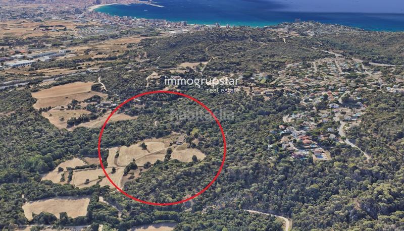 Foto 38df0cfe-6536-4925-9930-e4484a35bfd3. Masia a Cabanyes-Mas Ambrós-Mas Pallí Calonge