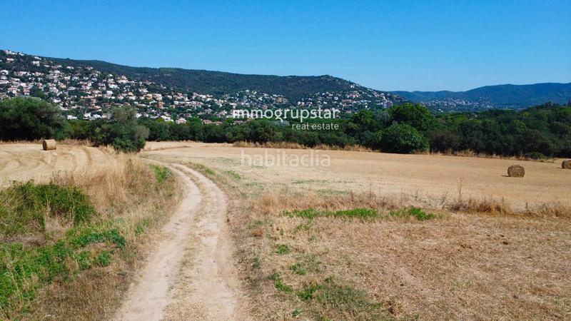 Foto 58b61d84-3c42-4b39-ac2c-5ac71d5e258d. Masia a Cabanyes-Mas Ambrós-Mas Pallí Calonge