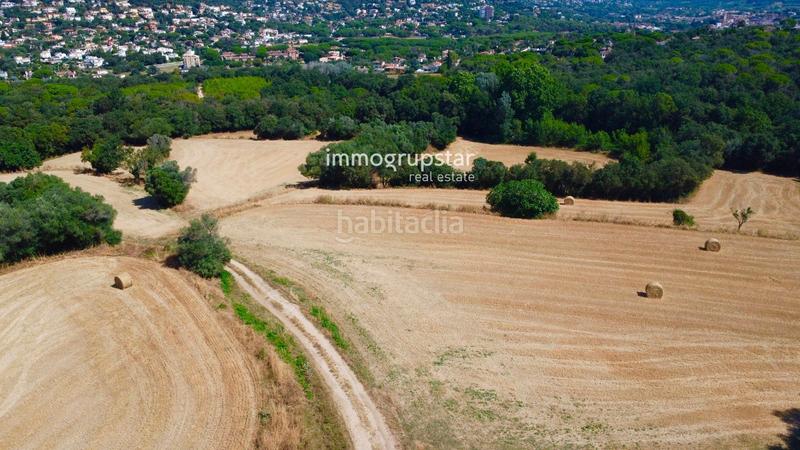 Foto daab534b-66ba-405b-a3ba-e90ff07cf037. Masia a Cabanyes-Mas Ambrós-Mas Pallí Calonge