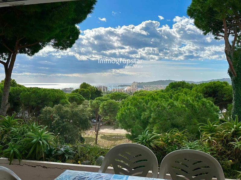 Foto 303fbe12-4dbc-4aa4-92de-e9593d3e1e16. Appartement dans Los Pinos-Politur Platja d´Aro