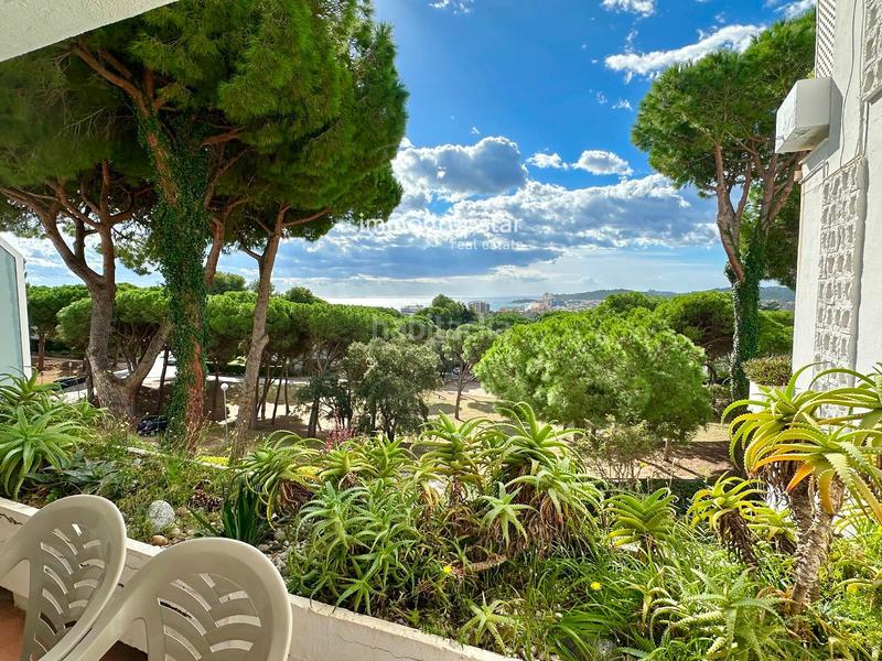 Foto 9c9138e5-a8ac-4156-953e-0bdfa328e1c1. Appartement dans Los Pinos-Politur Platja d´Aro