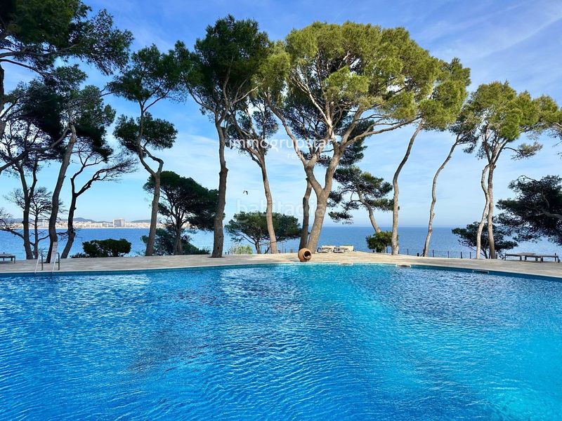 Foto c9ab0e08-a783-48fd-956c-53627f291e7c. Apartamento bonito apartamento en primera línea con vistas al mar en Sant Antoni de Calonge