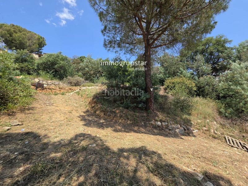 Foto 0d838748-6e65-4b7c-b9a6-4a91807c1675. Finca rústica a de la selva a Cabanyes-Mas Ambrós-Mas Pallí Calonge