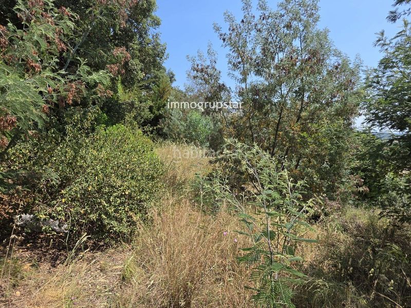 Foto 6eb0d3a6-a054-48d3-a2c8-4260dc4a5901. Finca rústica a de la selva a Cabanyes-Mas Ambrós-Mas Pallí Calonge