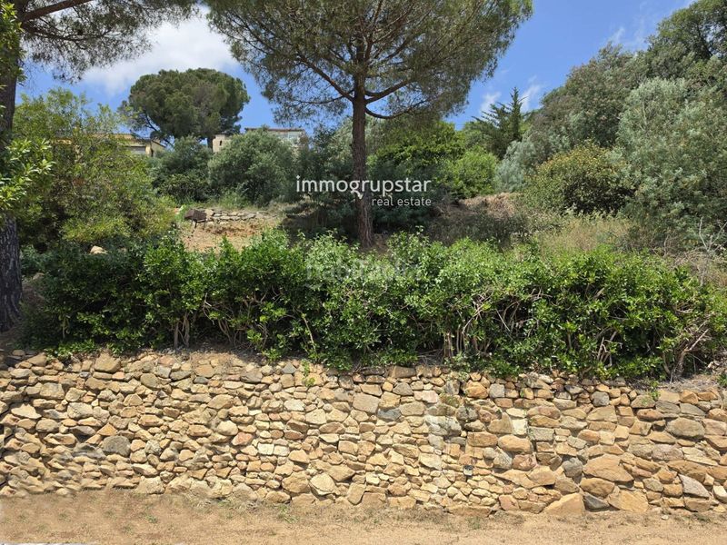 Foto 76ddd022-3ea8-43b4-9a89-fb828242e8a6. Finca rústica a de la selva a Cabanyes-Mas Ambrós-Mas Pallí Calonge